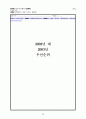 미국 오스틴시 예산업무평가시스템사례 45페이지