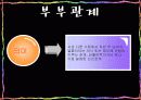 부부관계 3페이지