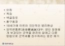 조선후기 행정개혁에 관하여 (실학 기타 행정개혁) 12페이지
