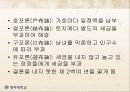 조선후기 행정개혁에 관하여 (실학 기타 행정개혁) 13페이지