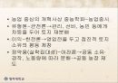 조선후기 행정개혁에 관하여 (실학 기타 행정개혁) 20페이지