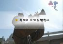 안성남사당바우덕이축제 분석 3페이지