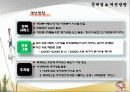 안성남사당바우덕이축제 분석 19페이지