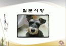 안성남사당바우덕이축제 분석 25페이지