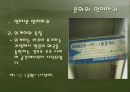 문화와 언어파괴.PPT 7페이지