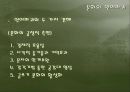 문화와 언어파괴.PPT 16페이지