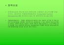 농촌의 환경오염문제에 대해서 13페이지