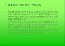 농촌의 환경오염문제에 대해서 15페이지
