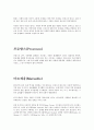 프랑스 주요지역 조사 4페이지