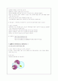 초등과학-화학분야 실험 재구성(2가지 실험) 3페이지