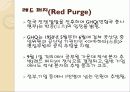 일본의 패전후 정치와 사회, 영토문제 22페이지