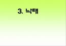 간호 윤리 사례 ppt  (A++++++!!!) 12페이지