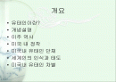 유태인에 대하여 - 미국이주 유태인을 중심으로 접근 2페이지