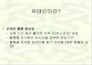 유태인에 대하여 - 미국이주 유태인을 중심으로 접근 6페이지