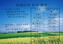 유태인에 대하여 - 미국이주 유태인을 중심으로 접근 29페이지