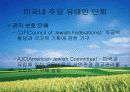 유태인에 대하여 - 미국이주 유태인을 중심으로 접근 31페이지
