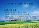 유태인에 대하여 - 미국이주 유태인을 중심으로 접근 33페이지