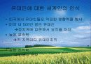 유태인에 대하여 - 미국이주 유태인을 중심으로 접근 35페이지