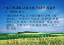 유태인에 대하여 - 미국이주 유태인을 중심으로 접근 37페이지