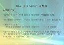 유태인에 대하여 - 미국이주 유태인을 중심으로 접근 46페이지