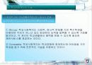 학교사회복지와 군사회복지 A+받은 과목  9페이지