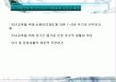 학교사회복지와 군사회복지 A+받은 과목  51페이지