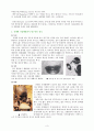 장식의 상징적 의미 고찰 3페이지