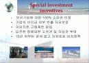 두바이 항만공사  37페이지