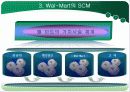 월마트,scm 8페이지
