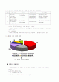 캐논EOS400D마케팅전략 8페이지