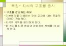 학문중심 교육과정 파워포인트 8페이지