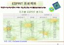 유럽지역론 26페이지