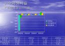 바른손 VS 모닝글로리 경영분석 32페이지