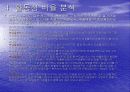 바른손 VS 모닝글로리 경영분석 43페이지