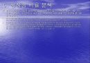 바른손 VS 모닝글로리 경영분석 48페이지