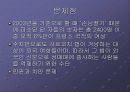 세계 각국의 성매매  15페이지