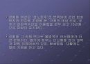 세계 각국의 성매매  24페이지