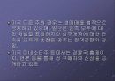 세계 각국의 성매매  41페이지