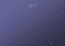 세계 각국의 성매매  42페이지