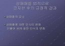 세계 각국의 성매매  45페이지