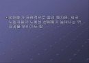 세계 각국의 성매매  48페이지