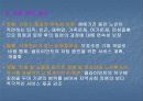 노인복지, 지역사회복지서비스에 대해서 14페이지
