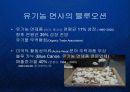 파타고니아 Patagonia - 유기농 면제품의 블루오션 개척과 기업의 핵심역량으로서의 환경철학  7페이지