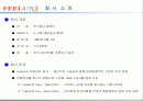 필룩스 성공사례 3페이지