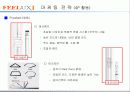 필룩스 성공사례 10페이지