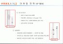 필룩스 성공사례 11페이지
