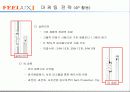 필룩스 성공사례 12페이지