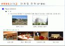 필룩스 성공사례 13페이지