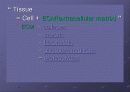 Glycosaminoglycan & Proteoglycan 5페이지