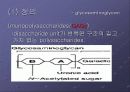 Glycosaminoglycan & Proteoglycan 13페이지